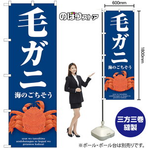 уKj ij ̂ڂ SNB-9064 i󒍐YiELZsj