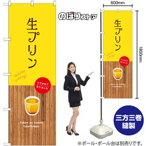 v ij ̂ڂ SNB-9513 i󒍐YiELZsj