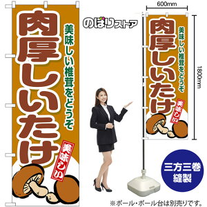  ̂ڂ SNB-9778 i󒍐YiELZsj