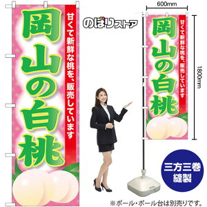 R̔ ̂ڂ SNB-9807 i󒍐YiELZsj