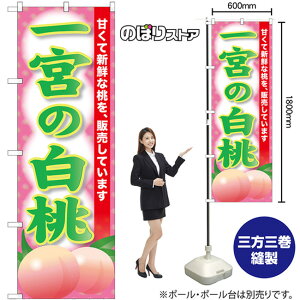 {̔ ̂ڂ SNB-9809 i󒍐YiELZsj