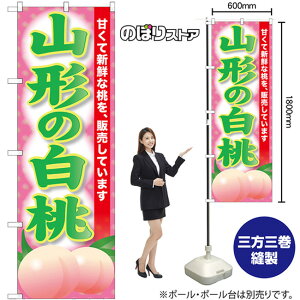 R`̔ ̂ڂ SNB-9810 i󒍐YiELZsj