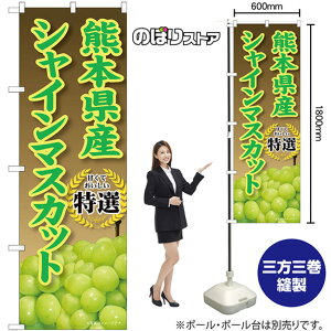 F{YVC}XJbg ̂ڂ SNB-9823 i󒍐YiELZsj