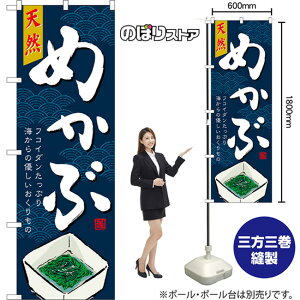 ̂ڂ VR߂ tRC_ՂC̗D ij TN-1581 i󒍐YiELZsj