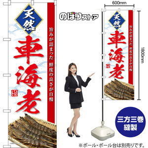 ̂ڂ VRԊCV |݂l܂ Nx̗ǂ ij TN-1612 i󒍐YiELZsj