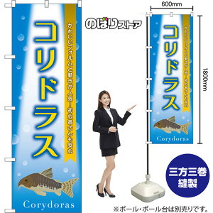 ̂ڂ RhX 킢tHƓlCIS҂S Corydoras ij TN-1487 i󒍐YiELZsj