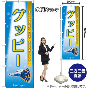 ̂ڂ Obs[ ʂlCҁIޖLxɎ葵 Guppy ij TN-1490 i󒍐YiELZsj