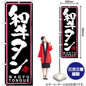 a^isNg j ̂ڂ TN-20 i󒍐YiELZsj