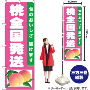 S ̂ڂ TN-294  i󒍐YiELZsj