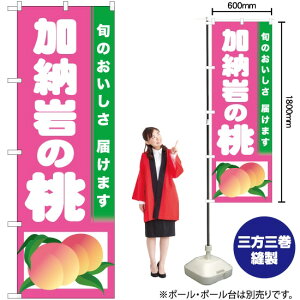 [̓ ̂ڂ TN-303  i󒍐YiELZsj