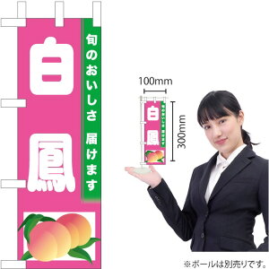 ~ĵڂ P TN-428i󒍐YiELZsj