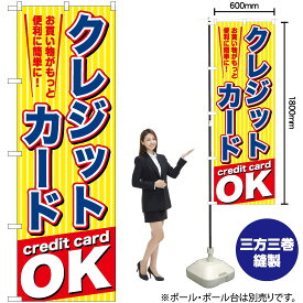 【3枚まで送料297円】 クレジットカードOK のぼり TN-728 （受注生産品・キャンセル不可）