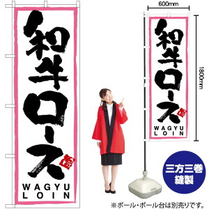 a[XisNg j ̂ڂ TN-9 i󒍐YiELZsj