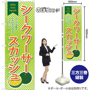 V[N[T[XJbV ̂ڂ TN-998i󒍐YiELZsj