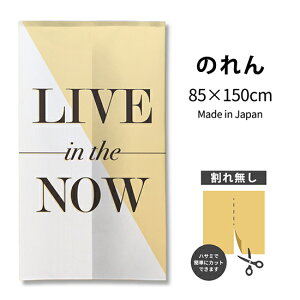 live in the now A[ĝ TNR-0421 i󒍐YiELZsj