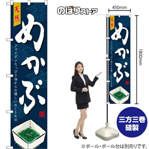 X}[ĝڂ VR߂ tRC_ՂC̗D ij TNS-1581 i󒍐YiELZsj