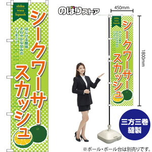 V[N[T[XJbV X}[ĝڂ TNS-0998i󒍐YiELZsj