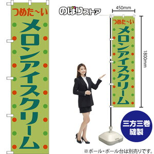 X}[ĝڂ ACXN[ ig ΁j TNS-1091 i󒍐YiELZsj