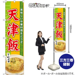 X}[ĝڂ VÔ ؗǂ iΉj TNS-1255 i󒍐YiELZsj