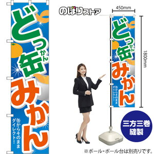 X}[ĝڂ ǂʂ݂ ʂ炻̂܂܃_CNgI ij TNS-1316 i󒍐YiELZsj