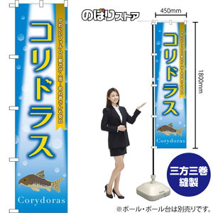 X}[ĝڂ RhX 킢tHƓlCIS҂S Corydoras ij TNS-1487 i󒍐YiELZsj