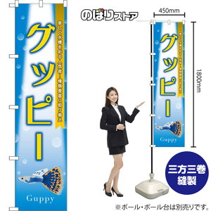 X}[ĝڂ Obs[ ʂlCҁIޖLxɎ葵 Guppy ij TNS-1490 i󒍐YiELZsj