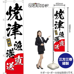 X}[ĝڂ ĒË` VN ij TNS-1495 i󒍐YiELZsj