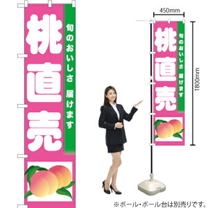  X}[ĝڂ TNS-281i󒍐YiELZsj