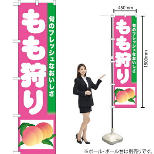  X}[ĝڂ TNS-289i󒍐YiELZsj