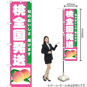 S X}[ĝڂ TNS-294i󒍐YiELZsj