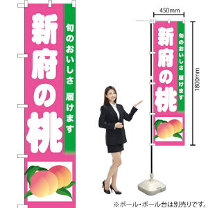 V{̓ X}[ĝڂ TNS-298i󒍐YiELZsj