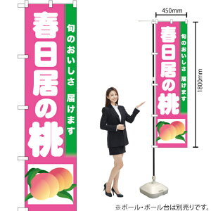 t̓ X}[ĝڂ TNS-302i󒍐YiELZsj