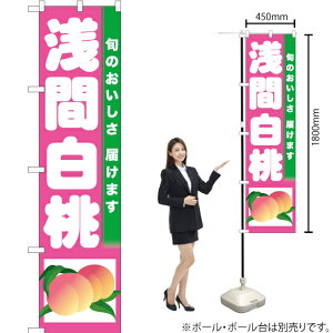 Ԕ X}[ĝڂ TNS-325i󒍐YiELZsj