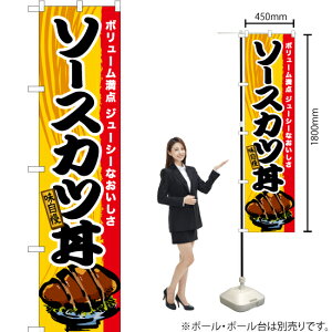 \[XJc X}[ĝڂ TNS-571i󒍐YiELZsj