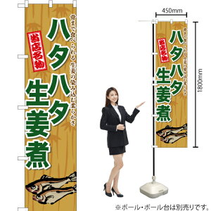 n^n^I X}[ĝڂ TNS-574i󒍐YiELZsj