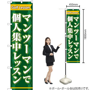 }c[}ŌlWbX X}[ĝڂ TNS-790i󒍐YiELZsj