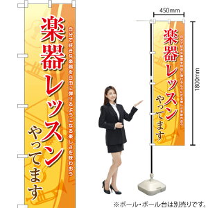 y탌bX X}[ĝڂ TNS-813i󒍐YiELZsj