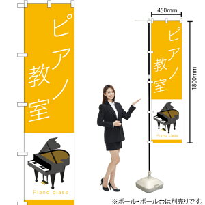 sAm X}[ĝڂ TNS-891i󒍐YiELZsj