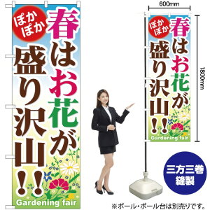 t͂ԂR ̂ڂ YN-457i󒍐YiELZsj