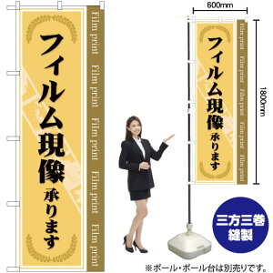 tB܂ ̂ڂ YN-523i󒍐YiELZsj