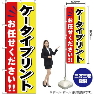 P[^CvgC ̂ڂ YN-527i󒍐YiELZsj