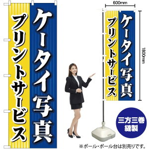 P[^Cʐ^vgT[rX ̂ڂ YN-529i󒍐YiELZsj