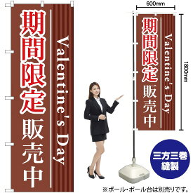 バレンタインズデイ期間限定販売中 のぼり YN-1139（受注生産品・キャンセル不可）
