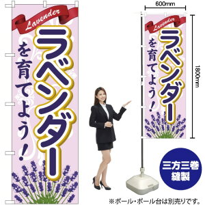 x_[Ă悤 ̂ڂ YN-1431i󒍐YiELZsj