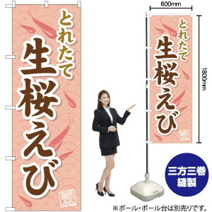 ƂꂽĐ ̂ڂ YN-1537i󒍐YiELZsj