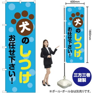 ̂CI ̂ڂ YN-2402i󒍐YiELZsj