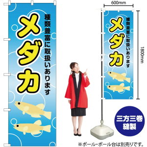 _J ̂ڂ YN-2416i󒍐YiELZsj