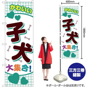 킢qWI ̂ڂ YN-2419i󒍐YiELZsj