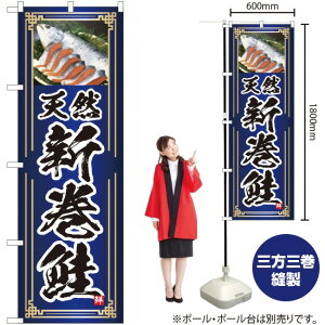 VR Vij ̂ڂ YN-4756i󒍐YiELZsj