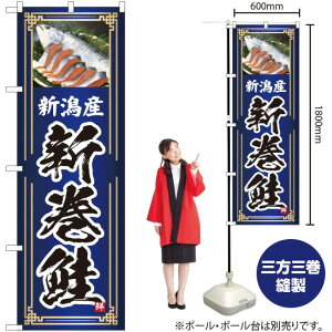 VY Vij ̂ڂ YN-4759i󒍐YiELZsj